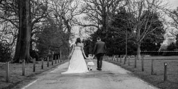 Weddings